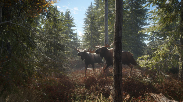 猎人：荒野的召唤 the Hunter Call of the Wild 免安装v2777186绿色中文版-绿色游戏网