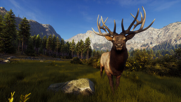 猎人之路 Way of the Hunter 免安装v1.27 绿色中文版-绿色游戏网