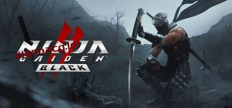 忍者龙剑传2：黑之章NINJA GAIDEN 2 Black v1.0.0官方中文免安装版游戏中文版下载|无需安装解压即玩-绿色游戏网