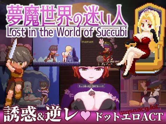 [动作ACT/像素动态] 迷失在梦境中 夢魔世界の迷い人 v1.03PC+安卓 官方中文版游戏中文版下载|无需安装解压即玩-绿色游戏网