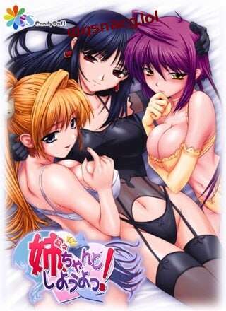 [日式ADV/后宫/PC] 姐姐，拜托你认真一点！姉、ちゃんとしようよっ！AI汉化版+全CG存档 1G游戏中文版下载|无需安装解压即玩-绿色游戏网