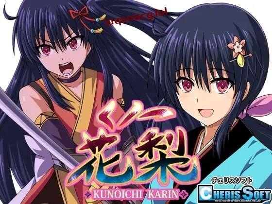 [回合RPG] 女忍花梨 くノ一花梨 v1.2 赐予者和XHX汉化组联合汉化 1.7G游戏中文版下载|无需安装解压即玩-绿色游戏网
