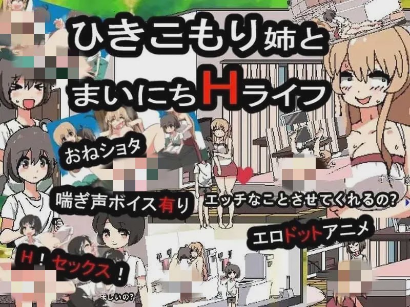 [互动SLG/像素动态] 和家里蹲死宅女姐姐的エロ生活 引きこもり姉とまいにちHライフ DL日文版 900M游戏中文版下载|无需安装解压即玩-绿色游戏网