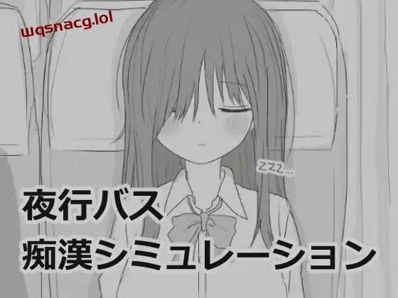 [互动SLG/黑白] 夜行バス痴漢シミュレーション 机翻汉化版 [1G]游戏中文版下载|无需安装解压即玩-绿色游戏网