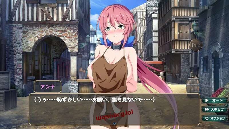 [互动SLG] 骑士安娜 -奴隶调教记录 騎士アンナ -奴隷調教記録 v1.0 AI汉化 [1G]游戏中文版下载|无需安装解压即玩-绿色游戏网