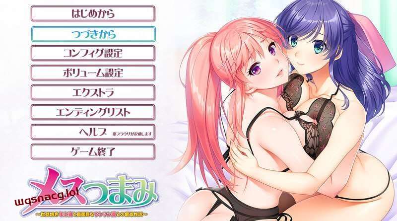 [拔作ADV] 亲密关系～照顾人的年长妻子和认真的冷淡妻子的爱欲生活～v1.0 AI汉化版+全CG存档 2.2G游戏中文版下载|无需安装解压即玩-绿色游戏网